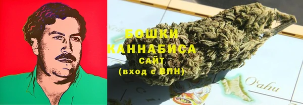 винт Абаза