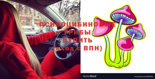 спайс Абинск