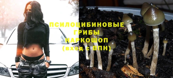 сатива Алексин