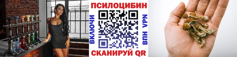 Псилоцибиновые грибы Psilocybine cubensis Таштагол