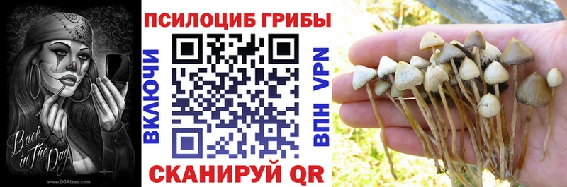дарнет шоп  Таштагол  Галлюциногенные грибы ЛСД 